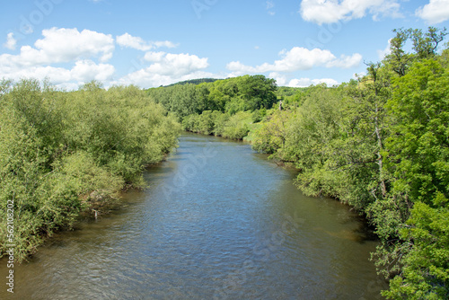 River in the woods