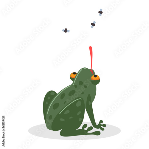 Comic frog catching flies with long tongue vector illustration. Cartoon drawing of green reptile character eating flying insects on white background. Wildlife, nature, fauna concept