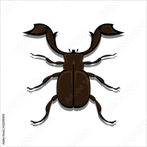 illustration vector graphic of horn beetle