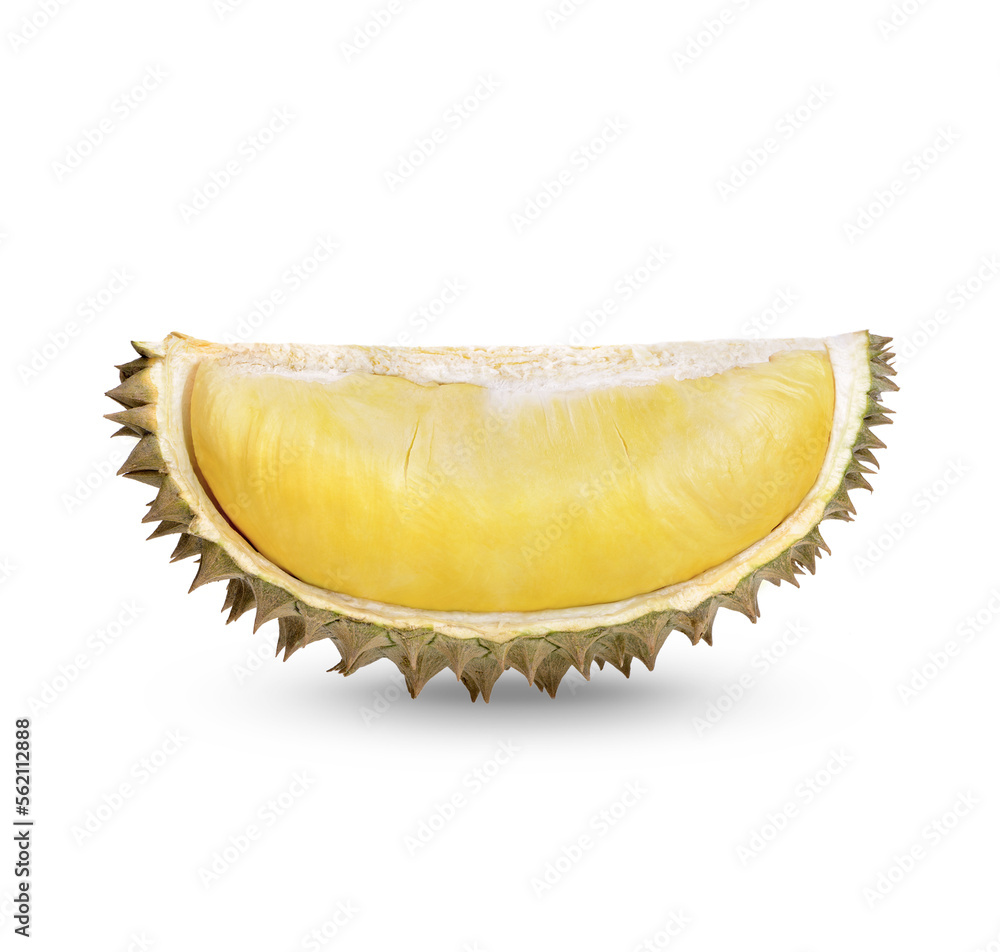 Fototapeta premium Ripe Durian Fruit isolated on transparent background (.PNG)