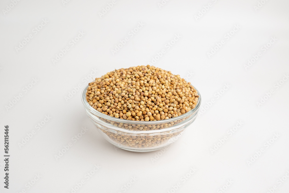 coriander seeds, plants dray in a glass dish on a white background coriander seeds, plants dray in a glass dish on a white background