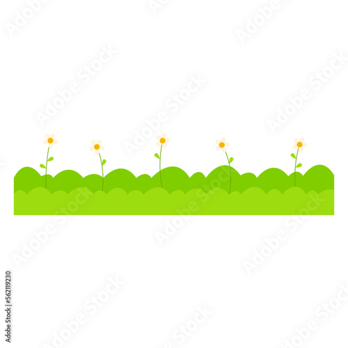 Grass Background Illustration