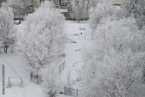 Photography winter forest in frost, house in winter forest, frosty day