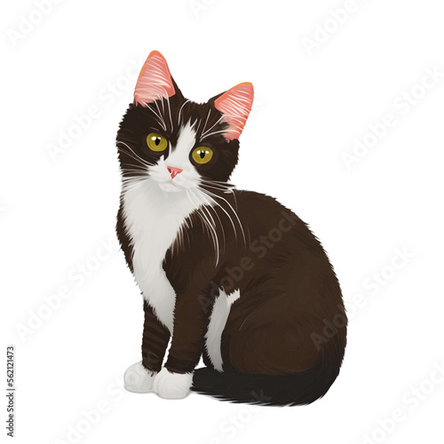 black cat drawn digital painting watercolor illustration
