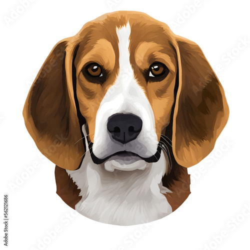 drawn digital painting watercolor illustration