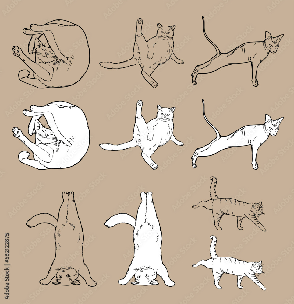 Cartoon Doodle Comic Outline Vector Seamless Pattern And Background Of Zen Meditating Cats In Yoga Pose and Asana, Namaste