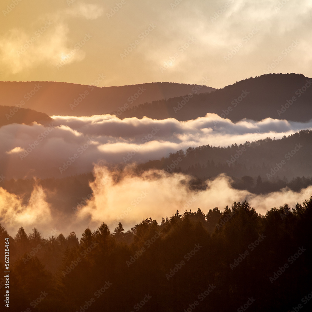 Fototapeta premium Mountains in clouds, Bieszczady, Poland