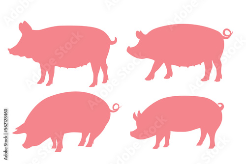 A quality pink and white vector illustration of a pig. © isoon