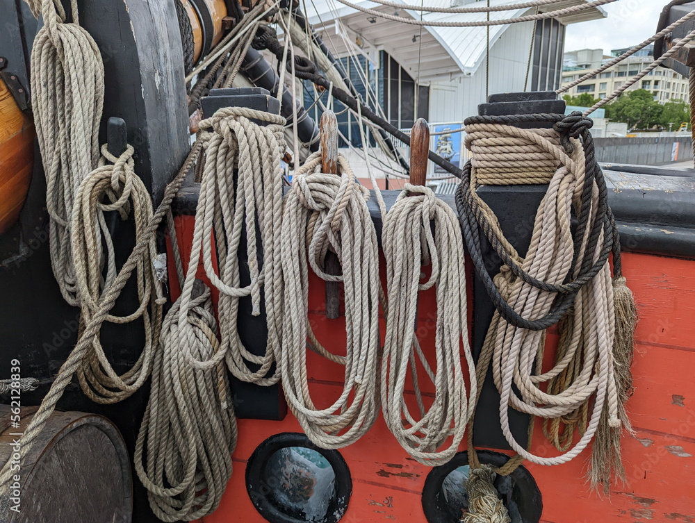 Coiled ropes on a boat.