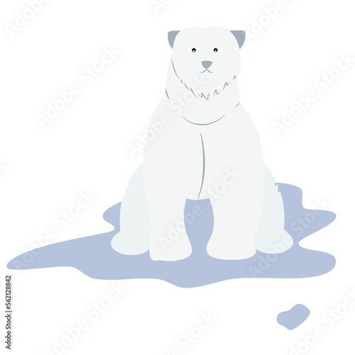 a polar bear is walking isolated on transparency background