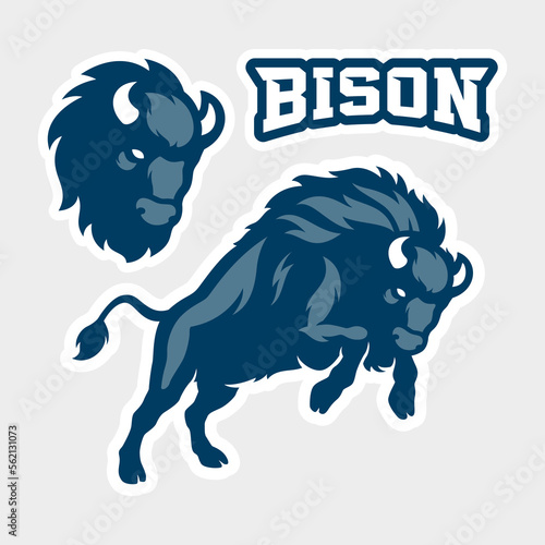 Bison Mascot Vector Illustration Design
