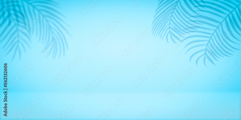 palm tree background with studioo backdrop