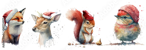 Safari Animal set deer, fox, squirrel and bird in watercolor style. Isolated vector illustration
