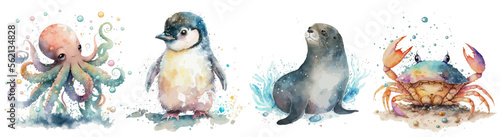 Safari Animal set fur seal, crab, octopus, penguin in watercolor style. Isolated vector illustration