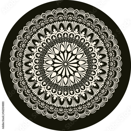 Colorful Mandala Page for Adults