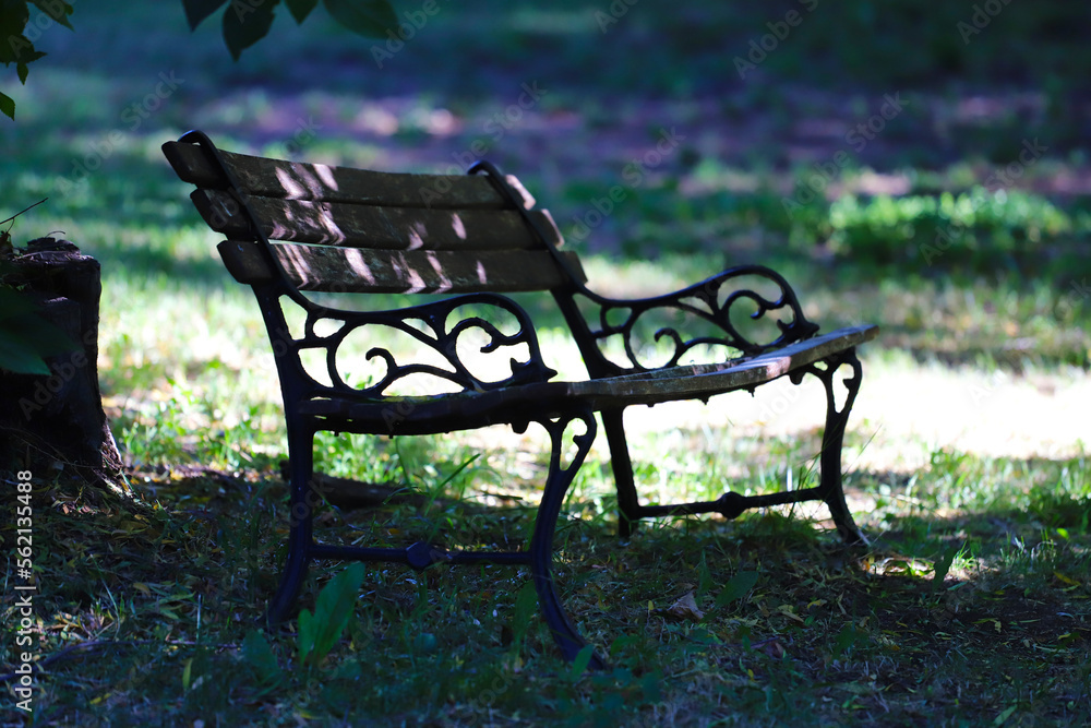 Old and empty bench in lonely square. Bench in the shade of the trees. Bank without people. Old and rickety bench. Peace, serenity, emptiness, loneliness.