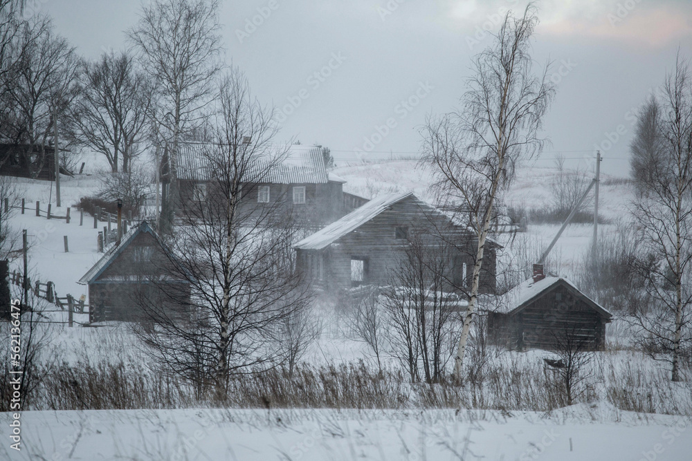 Winter in the Russian countryside. Vologda region. Russia