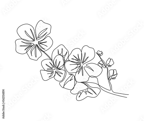 Continuous one line drawing of cherry blossom. Simple flower blossom line art vector illustration.