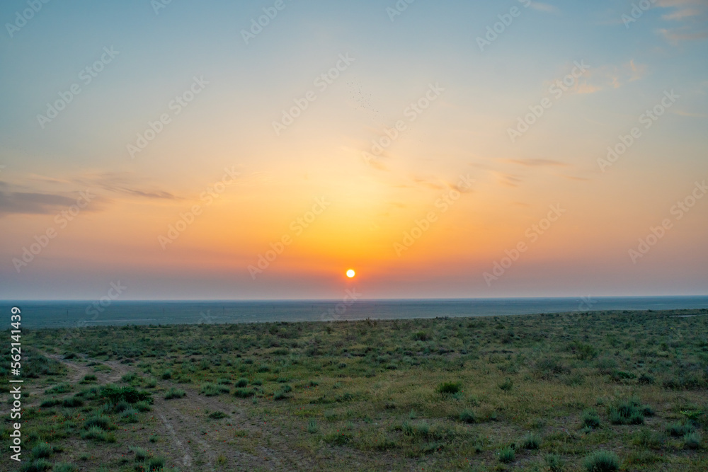 Panorama of heavenly dawn in spring in the flowering steppe of Kazakhstan