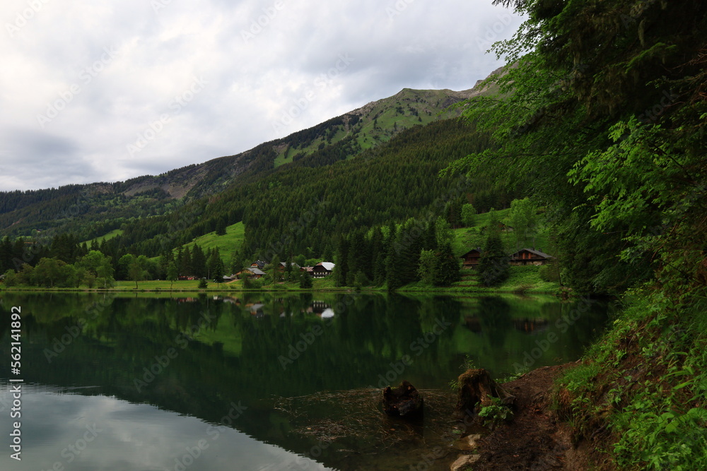 Viewpoint on the Plagnes lake which is located in Haute-Savoie in the municipality of Abondance Viewpoint on the Plagnes lake which is located in Haute-Savoie in the municipality of Abondance
