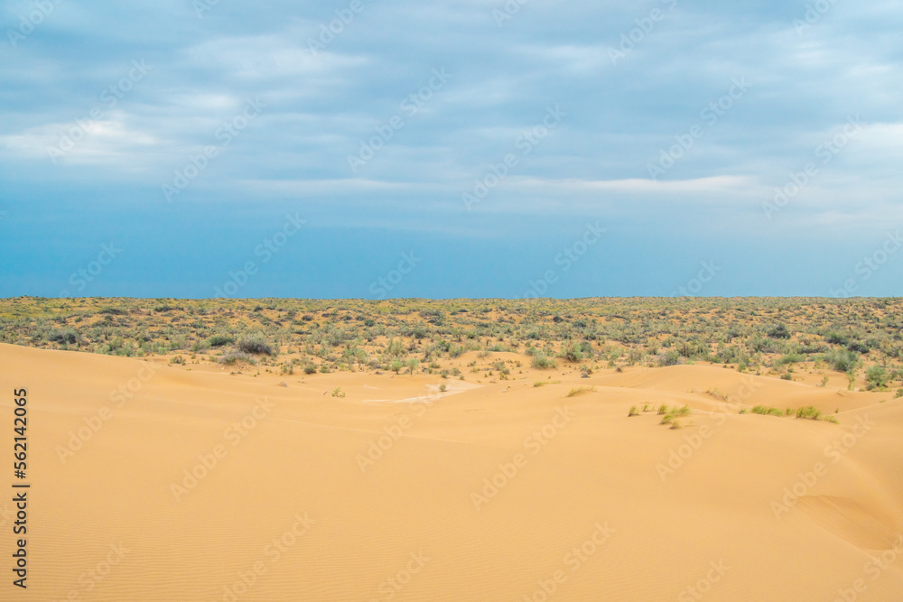 Bright blue cloudy sky over the yellow desert of Kyzylkum Kazakhstan