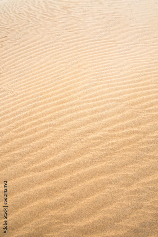 Texture of sand dunes as background top view Texture of sand dunes as background top view
