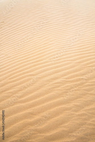 Texture of sand dunes as background top view