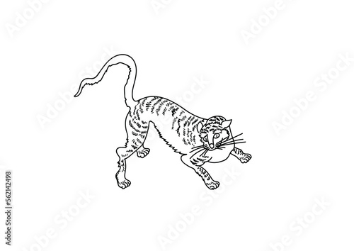 illustration of a cat png