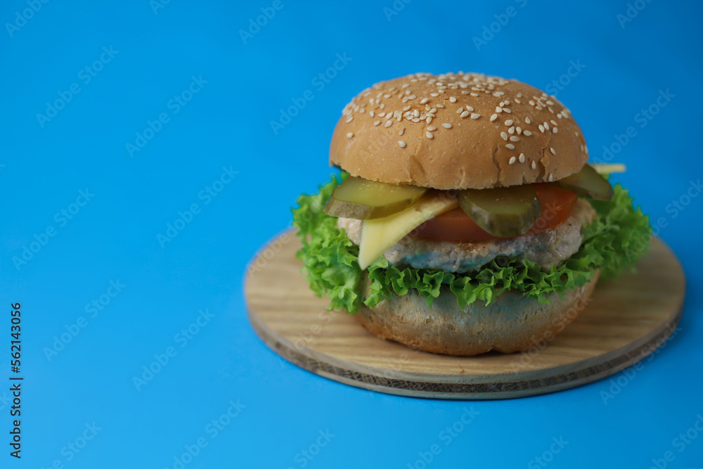 juicy tasty hamburger from a fresh bun with sesame seeds, green salad, tomatoes, cucumbers, fragrant cheese and meat cutlets on a bright blue background juicy tasty hamburger from a fresh bun with sesame seeds, green salad, tomatoes, cucumbers, fragrant cheese and meat cutlets on a bright blue background
