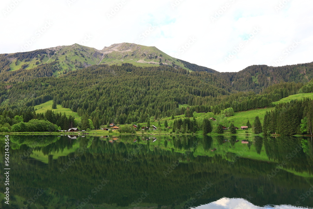 Viewpoint on the Plagnes lake which is located in Haute-Savoie in the municipality of Abondance