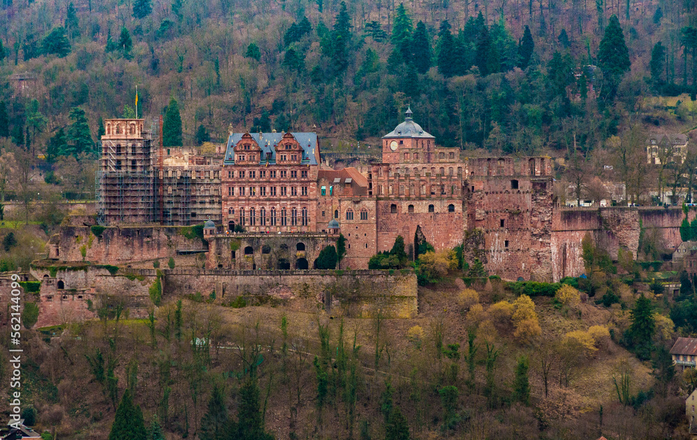 Great overall view of the famous castle ruin Heidelberger Schloss in Germany. From left to right: bell tower, Hall of Glass, Friedrich’s Wing, Barrel Building, English Building and Fat Tower.