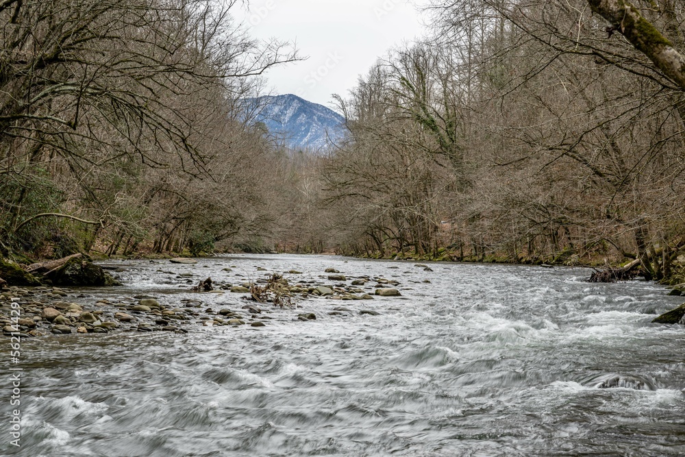 mountain stream mountain stream
