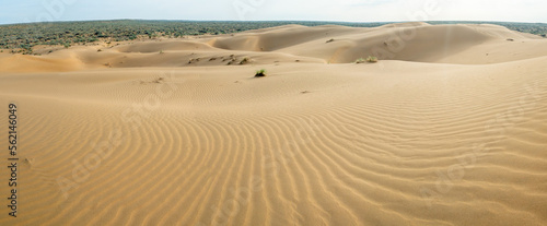 Panorama 180 of the desert in spring from a bird s eye view.