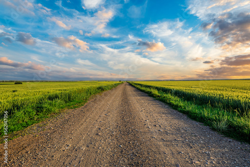 Country road and green wheat fields natural scenery at sunrise