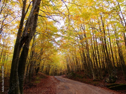 OLYMPUS DIGITAL CAMERA ITALY