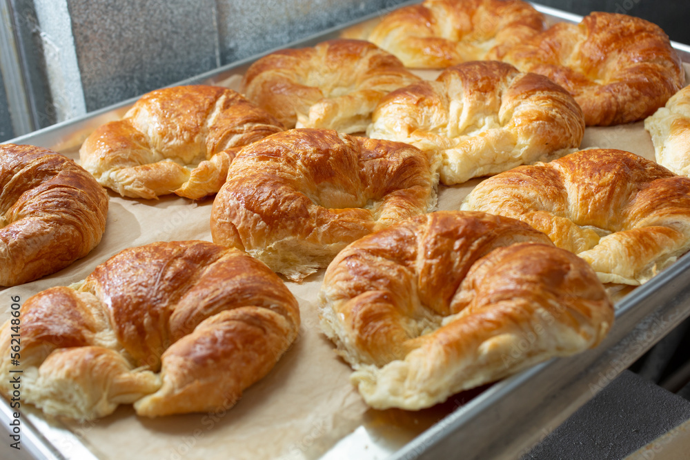 A view of a tray full of croissants.