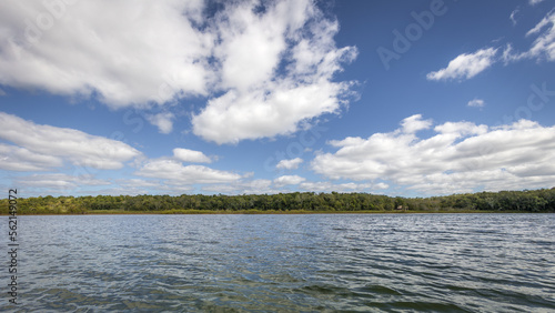 Landscape of tropical jungle in the Yucatan peninsula with fresh water lagoon and cloudy sky on a beautiful sunny afternoon 