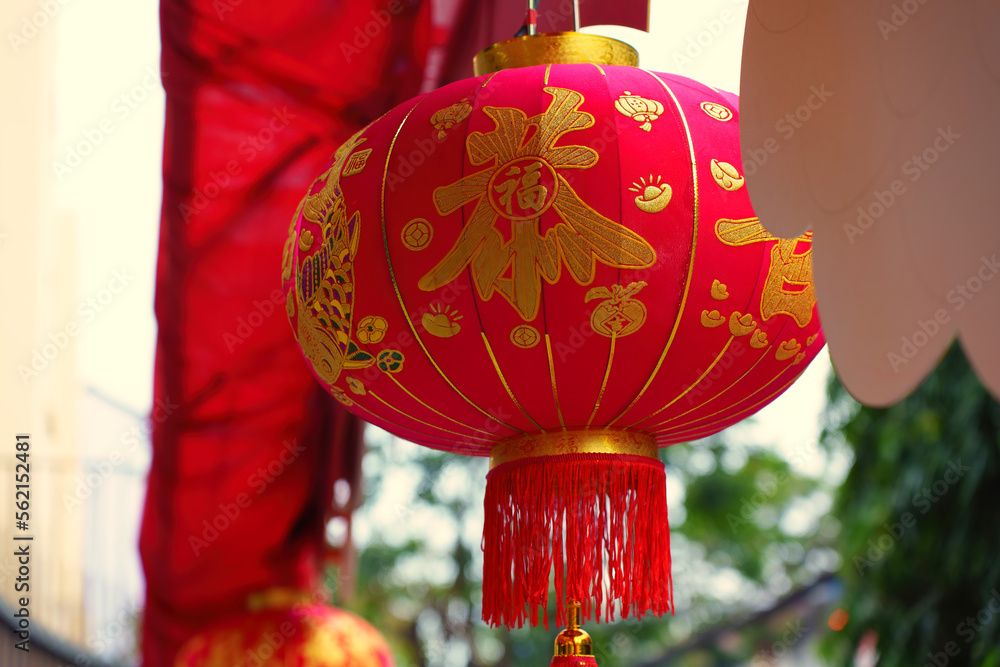 Colorful lanterns ( Tang Lung ) - Chinese New Year decorations