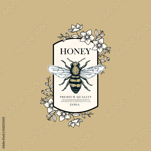 hand drawn honey logo design
