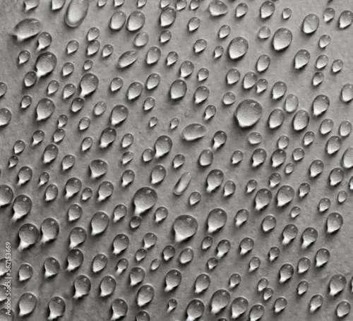 Drops of water on a sheet of paper. 