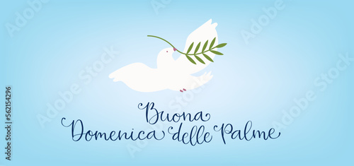 Buona Domenica delle Palme translation from italian Happy Palm Sunday. Handwritten calligraphy lettering, white dove carrying olive branch vector illustration.
