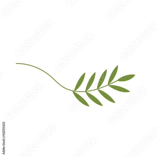 Palm Sunday illustration with olive branch.