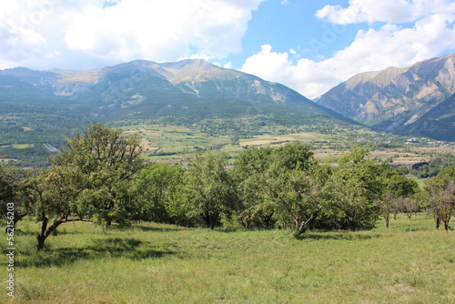 Beautiful panoramic view over a valley with fruit trees and the French Alps in the background. © Johan
