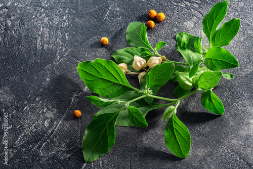 Aswagandha leaves and fruits over dark background, top view. Withania somnifera plant photo