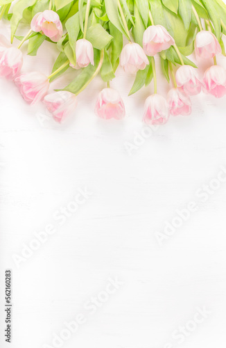 Mother's Day, St Valentine's Day Card. Tulips on white Background, flat lay