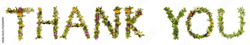 Blooming Flower Letters Building English Text Thank You Blooming Flower Letters Building English Text Thank You
