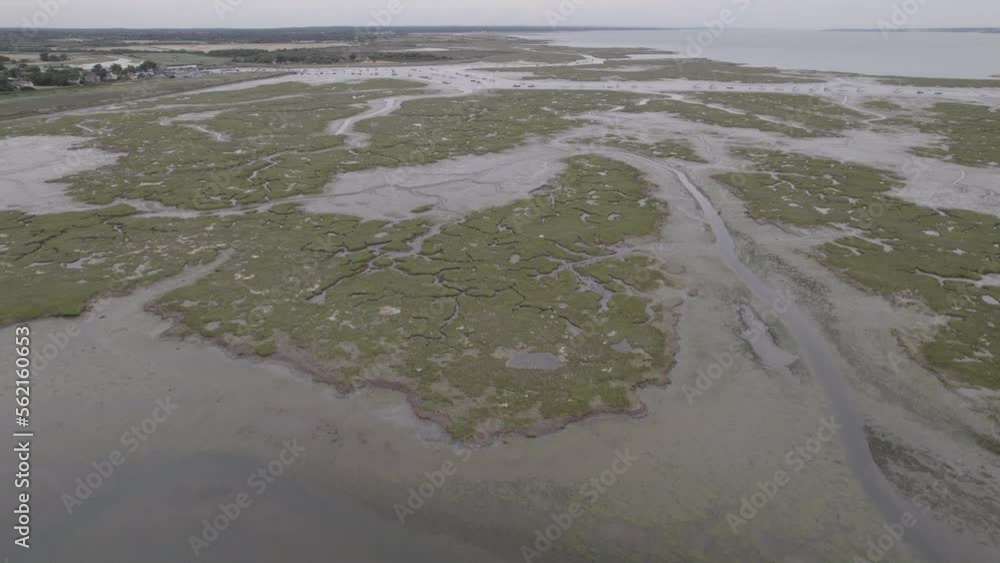 Drone shot of marsh, slowly panning up into a birds eye view of the marsh below