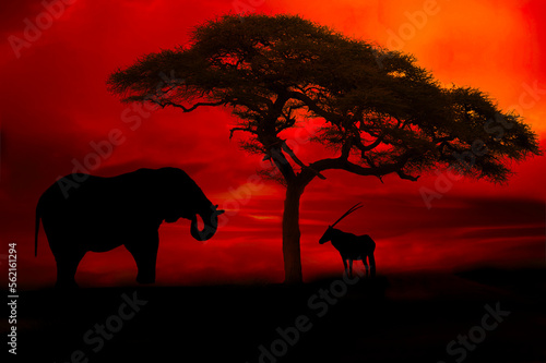 Afrika Sonnenaufgang  und Sonnenuntergang mit Elefanten im Etosha Nationalpark © Mit *HPS* auf Reisen