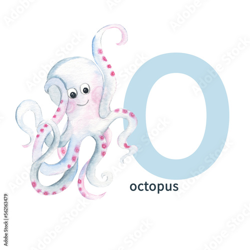 Letter O, octopus, cute kids animal ABC alphabet. Watercolor illustration isolated on white background. Can be used for alphabet or cards for kids learning English vocabulary and handwriting