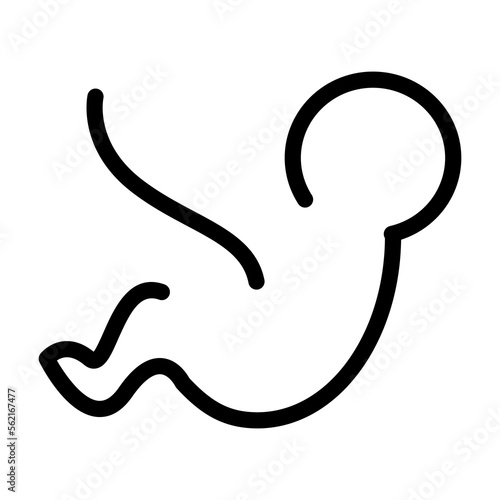 Fetus Icon Isolated on White Background Vector